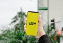 cloud innovation services offered